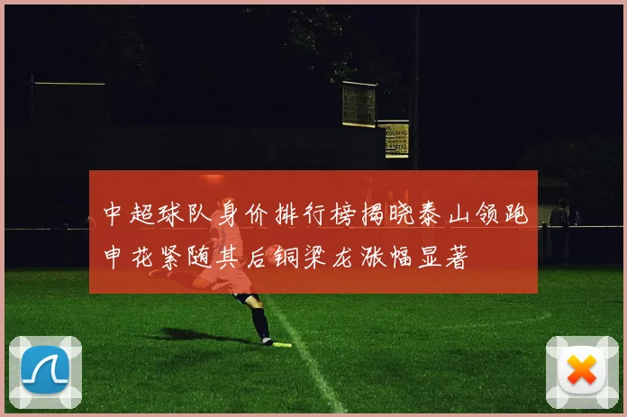 中超球队身价排行榜揭晓泰山领跑申花紧随其后铜梁龙涨幅显著